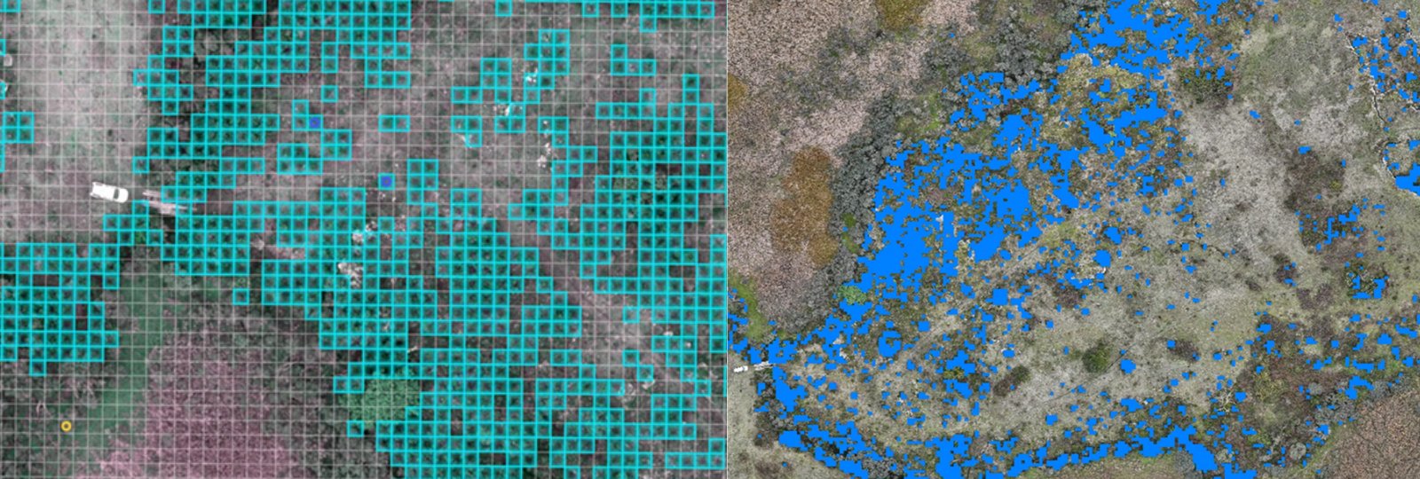 AI species detection and prescriptive spray mapping